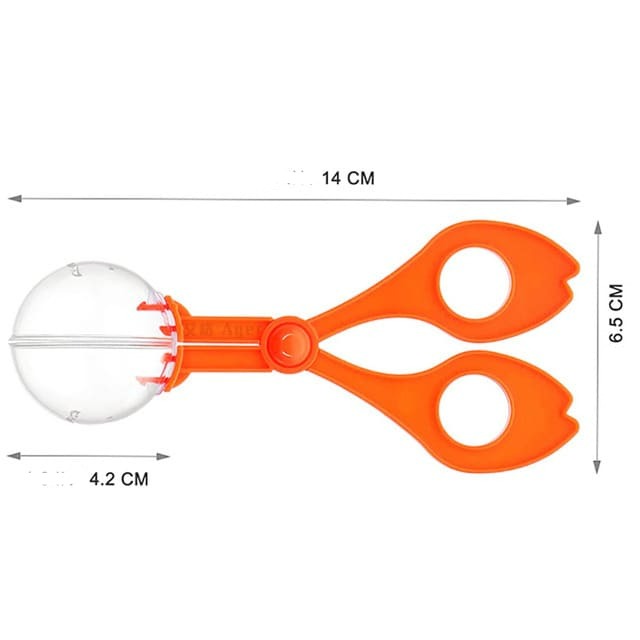 Coordenação Motota Fina Kit Pompons Com Pegador e Potes