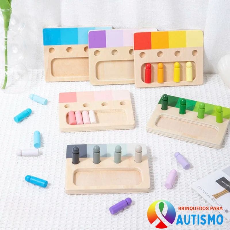 Brinquedo de Madeira Montessori Correspondência Cores