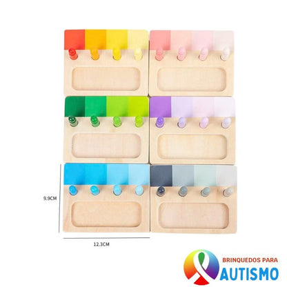 Brinquedo de Madeira Montessori Correspondência Cores