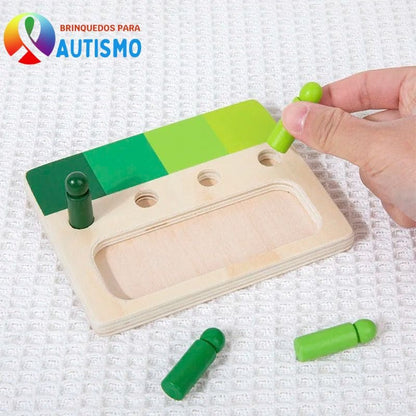 Brinquedo de Madeira Montessori Correspondência Cores
