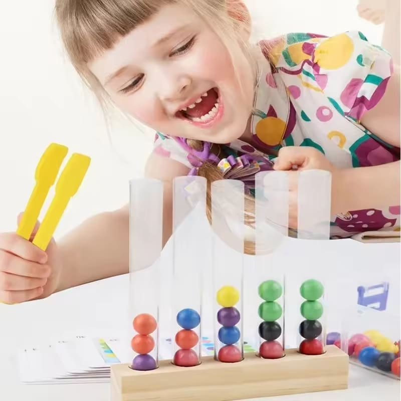 Brinquedo Montessori Concentração Lógica e Treino Motor