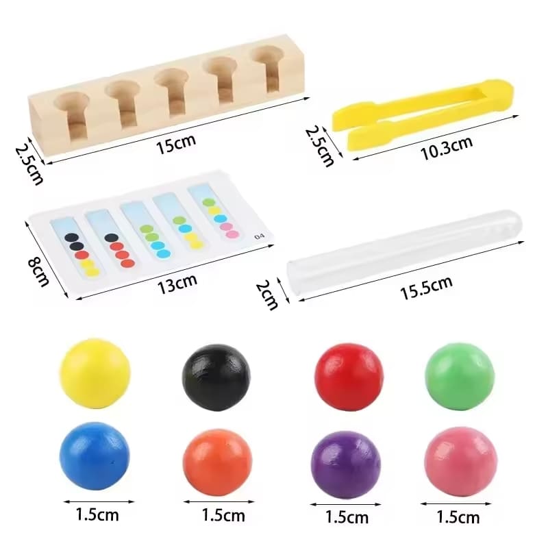 Brinquedo Montessori Concentração Lógica e Treino Motor