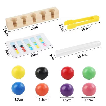 Brinquedo Montessori Concentração Lógica e Treino Motor
